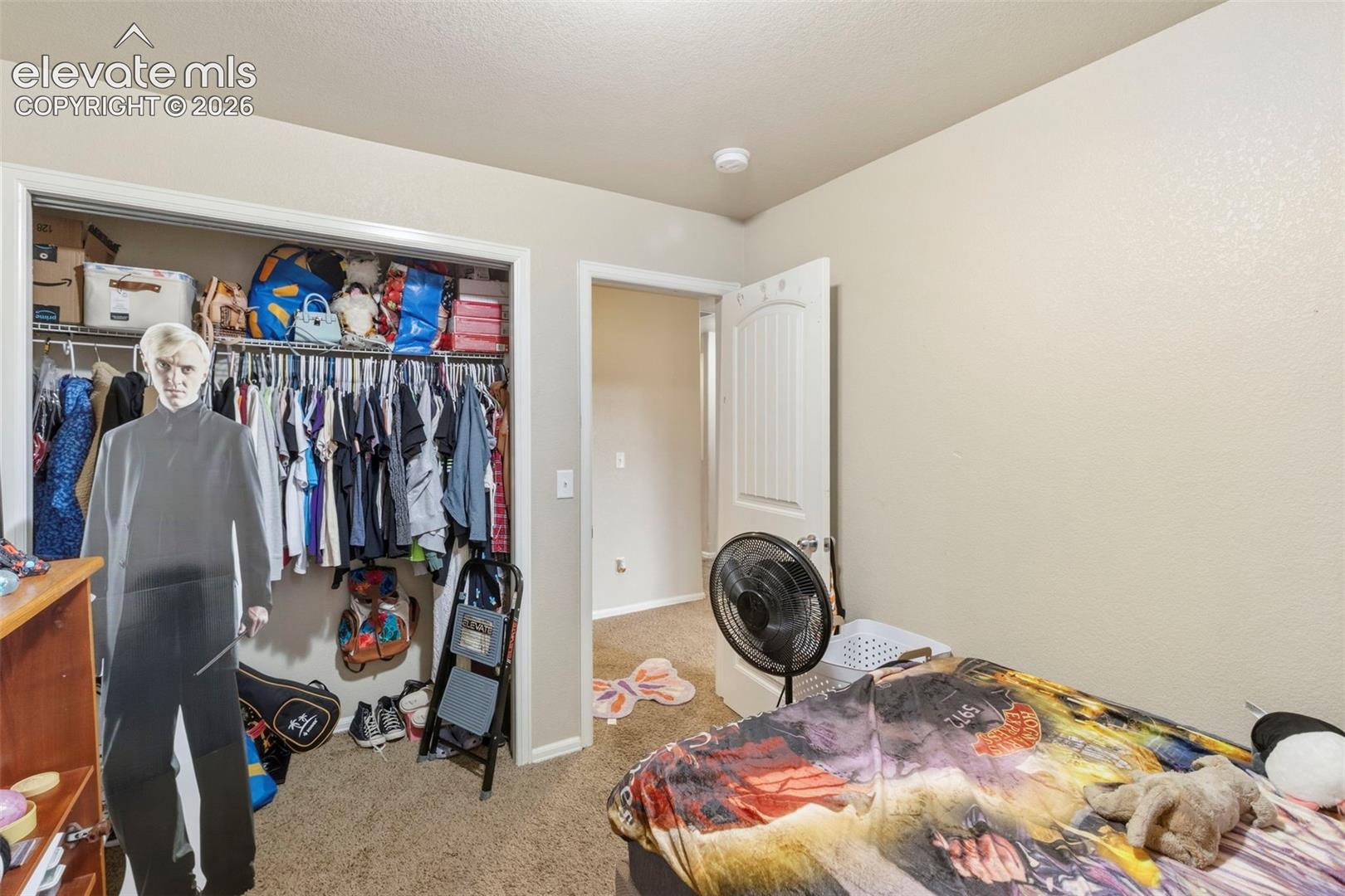 Listing photo 18 for 4883 Painted Sky View