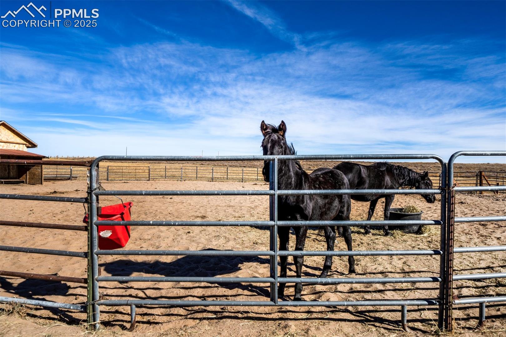 Listing photo 6 for 24225 Myers Road