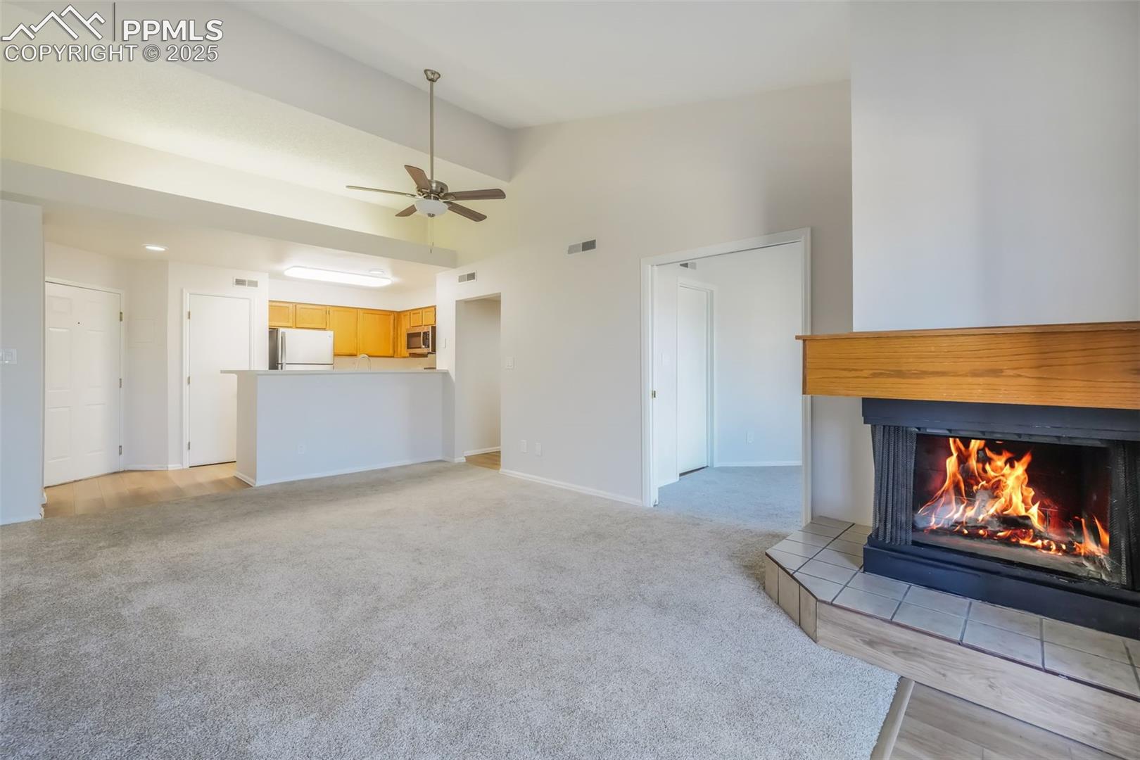 3664 Iguana Drive, photo 7