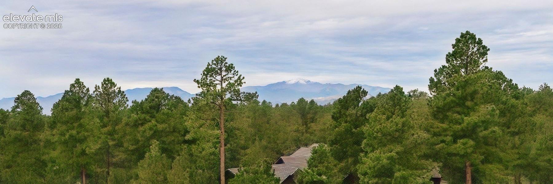 Listing photo 4 for 4915 Old Stagecoach Road