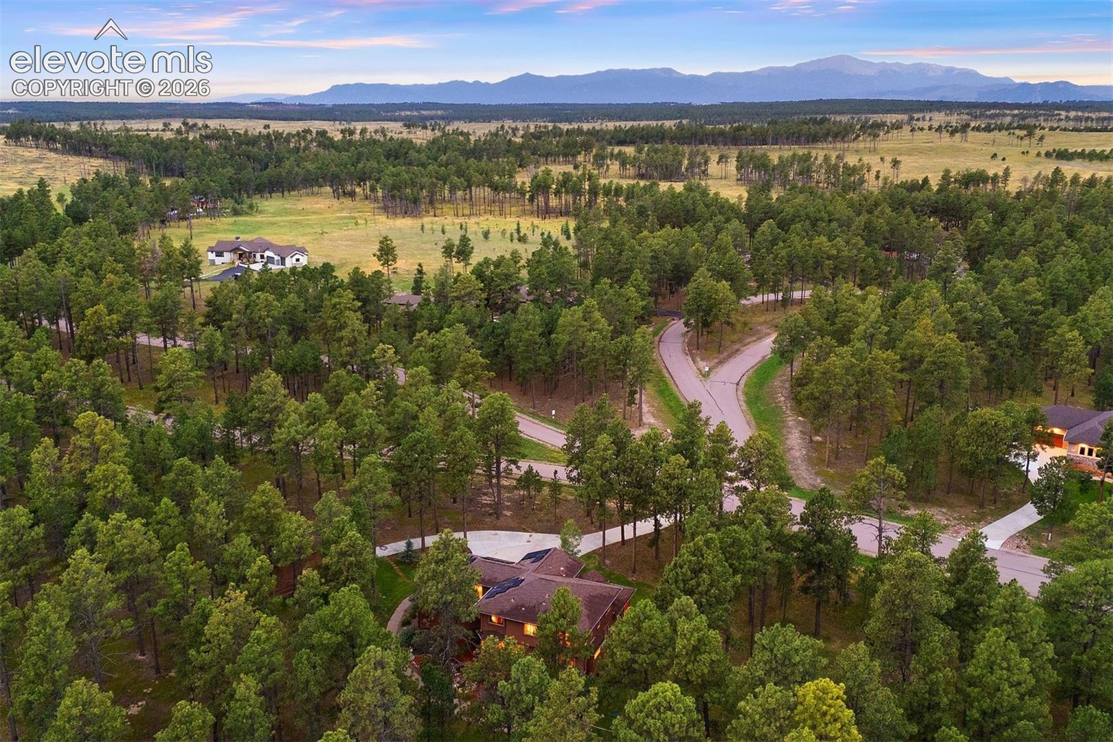 Listing photo 7 for 14953 Snowy Pine Point