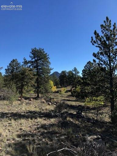 Listing photo 39 for 3303 Trail Creek Road
