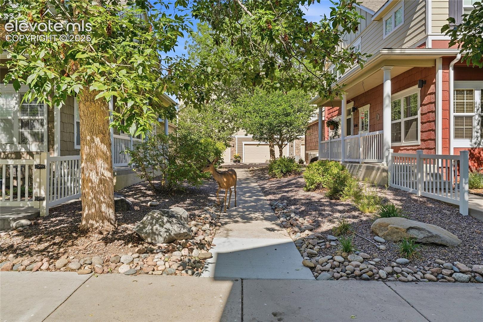 Listing photo 23 for 1489 Red Peak Drive