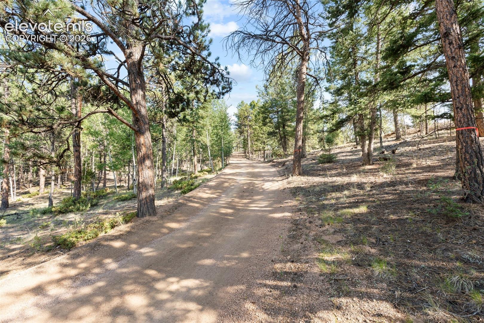 Listing photo 42 for 2270 Pikes Peak Drive