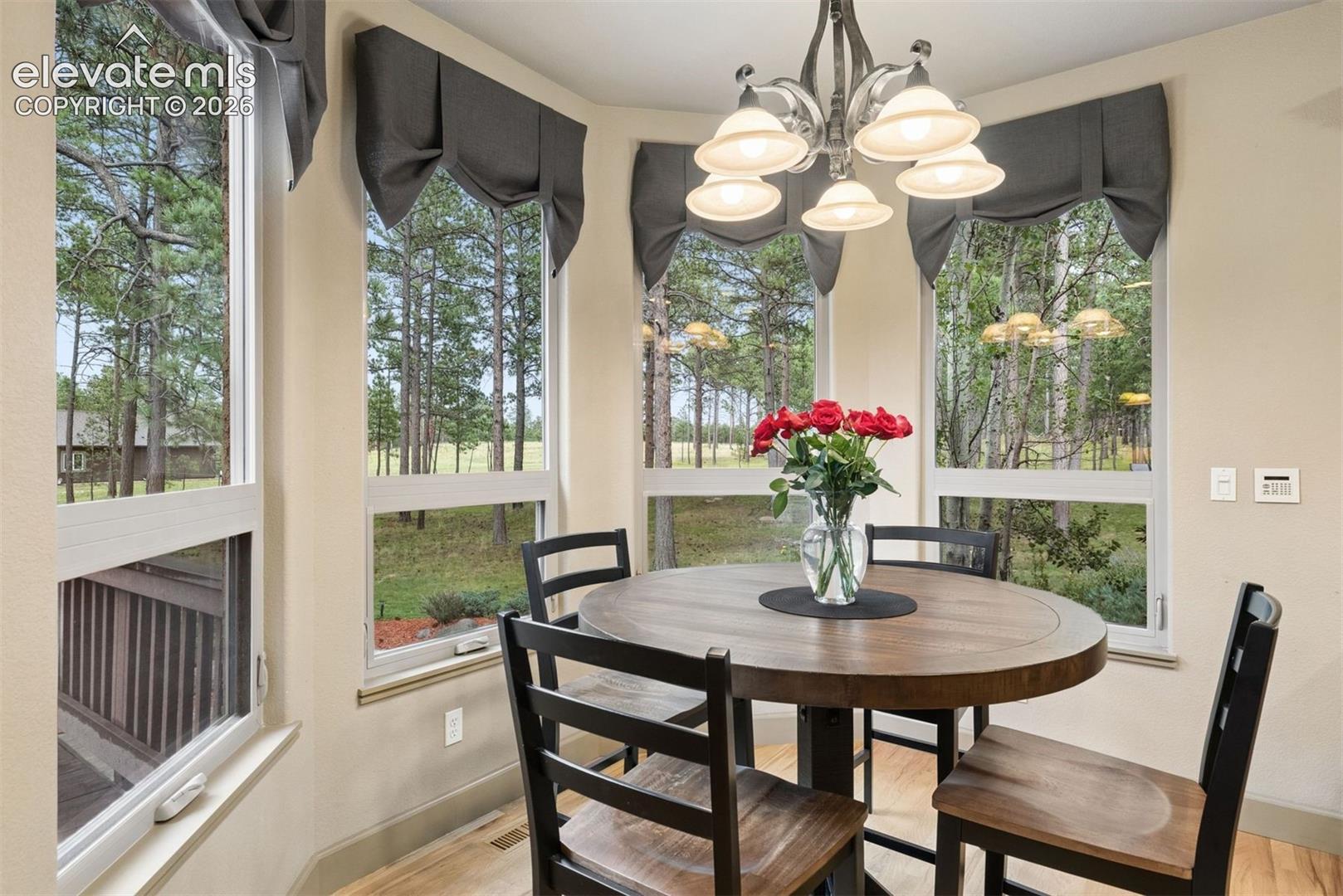 Listing photo 16 for 14953 Snowy Pine Point