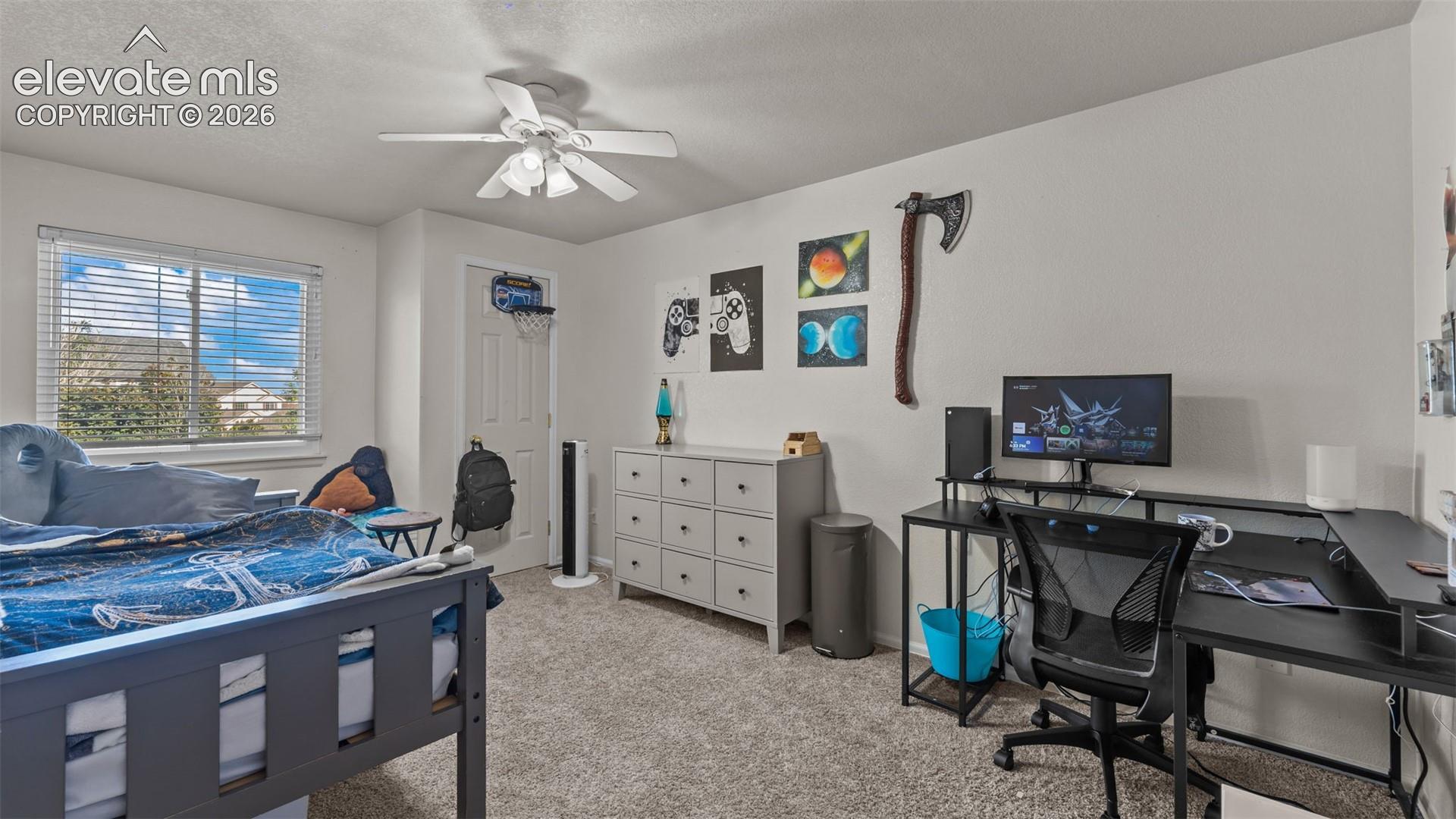 Listing photo 20 for 6348 La Plata Peak Drive