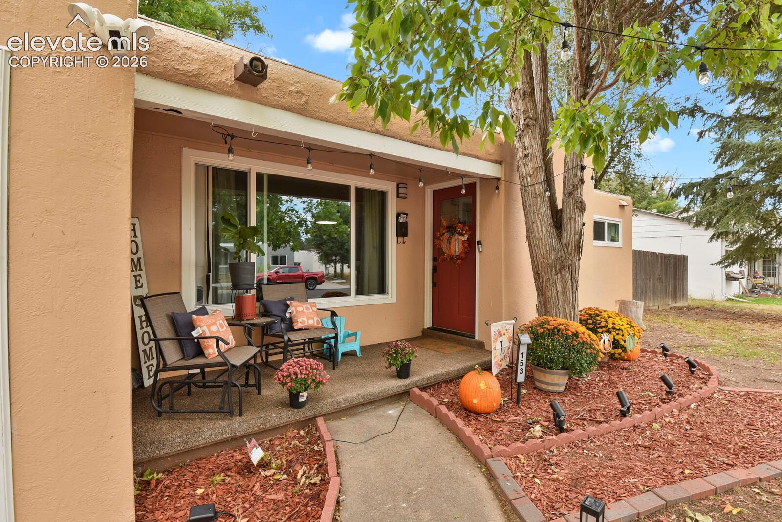 153 Rose Drive, photo 5
