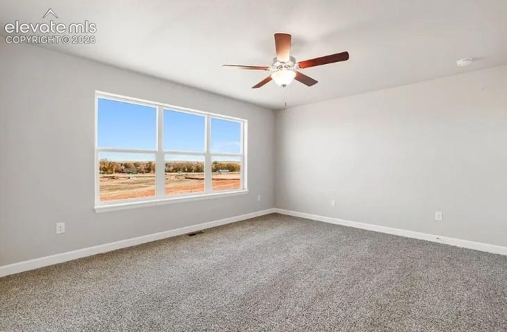 Listing photo 20 for 7201 Alpine Daisy Drive