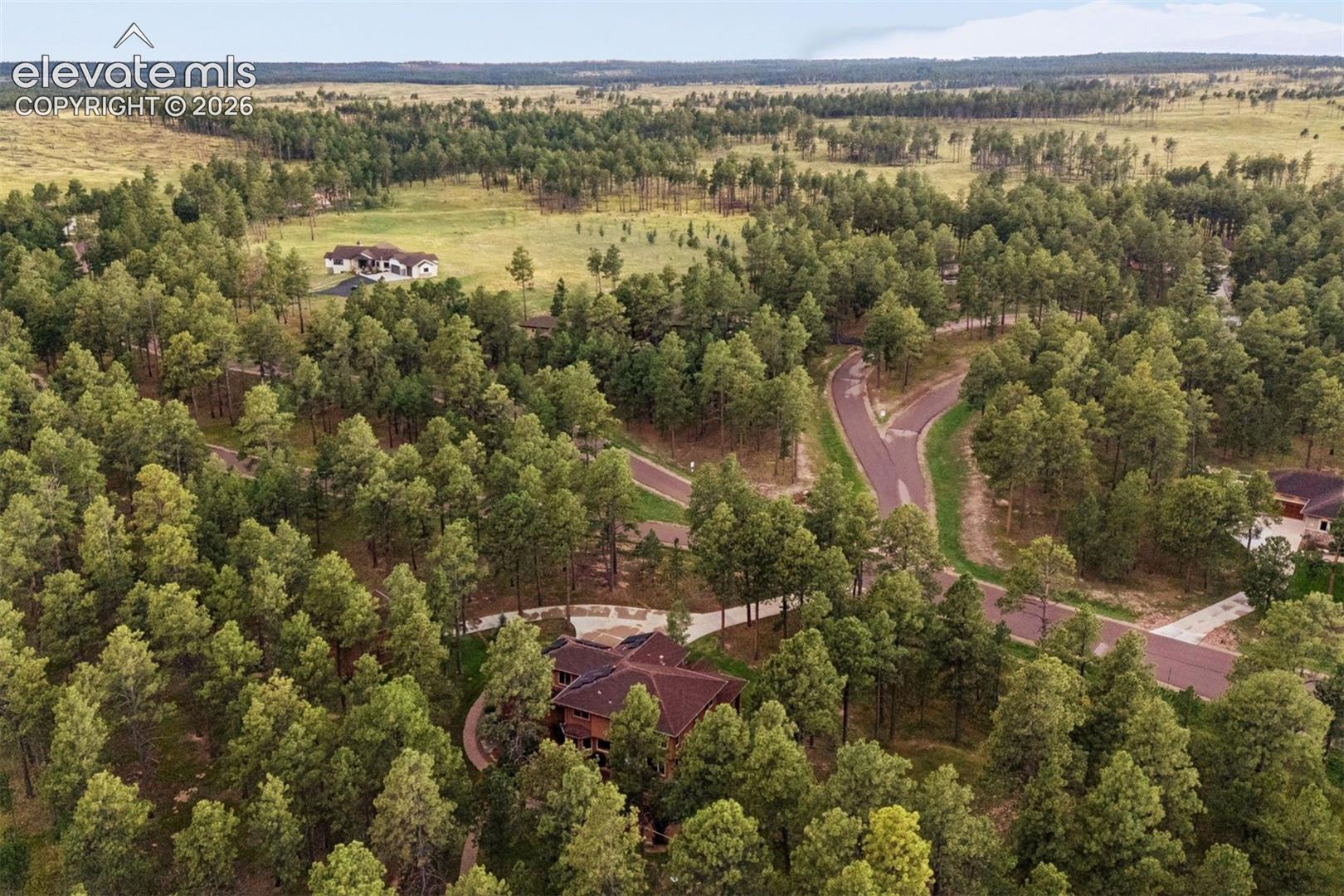 Listing photo 42 for 14953 Snowy Pine Point
