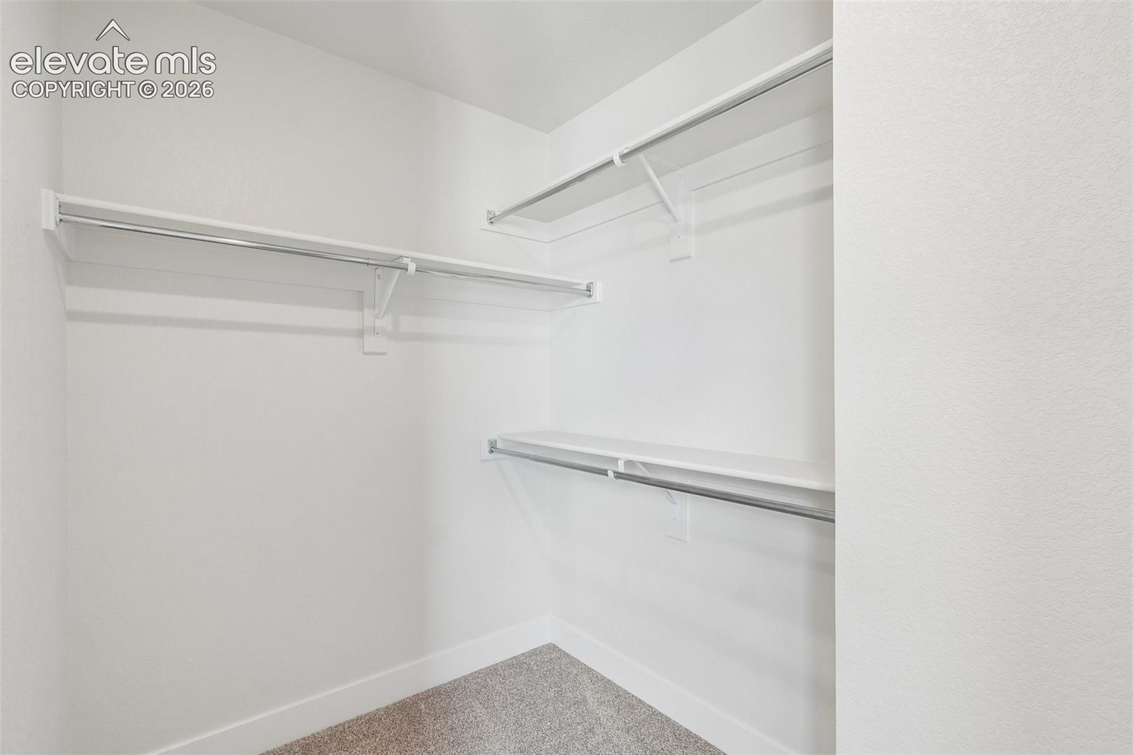 Listing photo 41 for 3005 Curly Grove