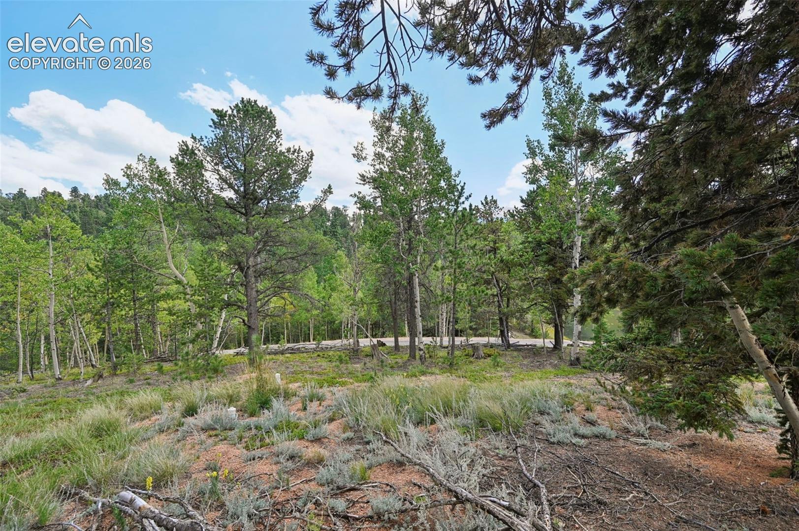 Listing photo 26 for 2659 Edlowe Road