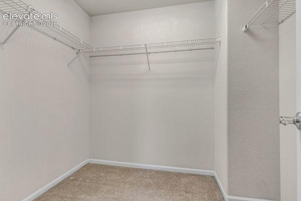 6933 Sandcastle Point, photo 23