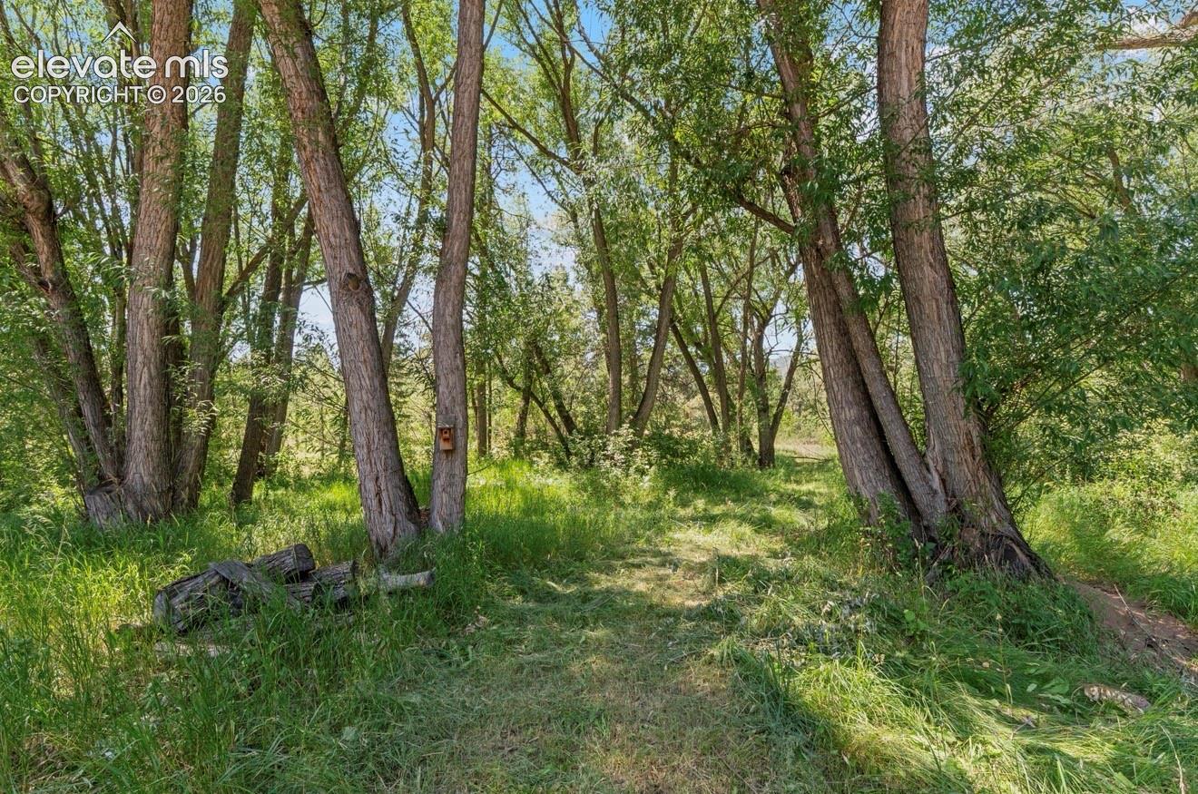 Listing photo 43 for 222 Clio Avenue