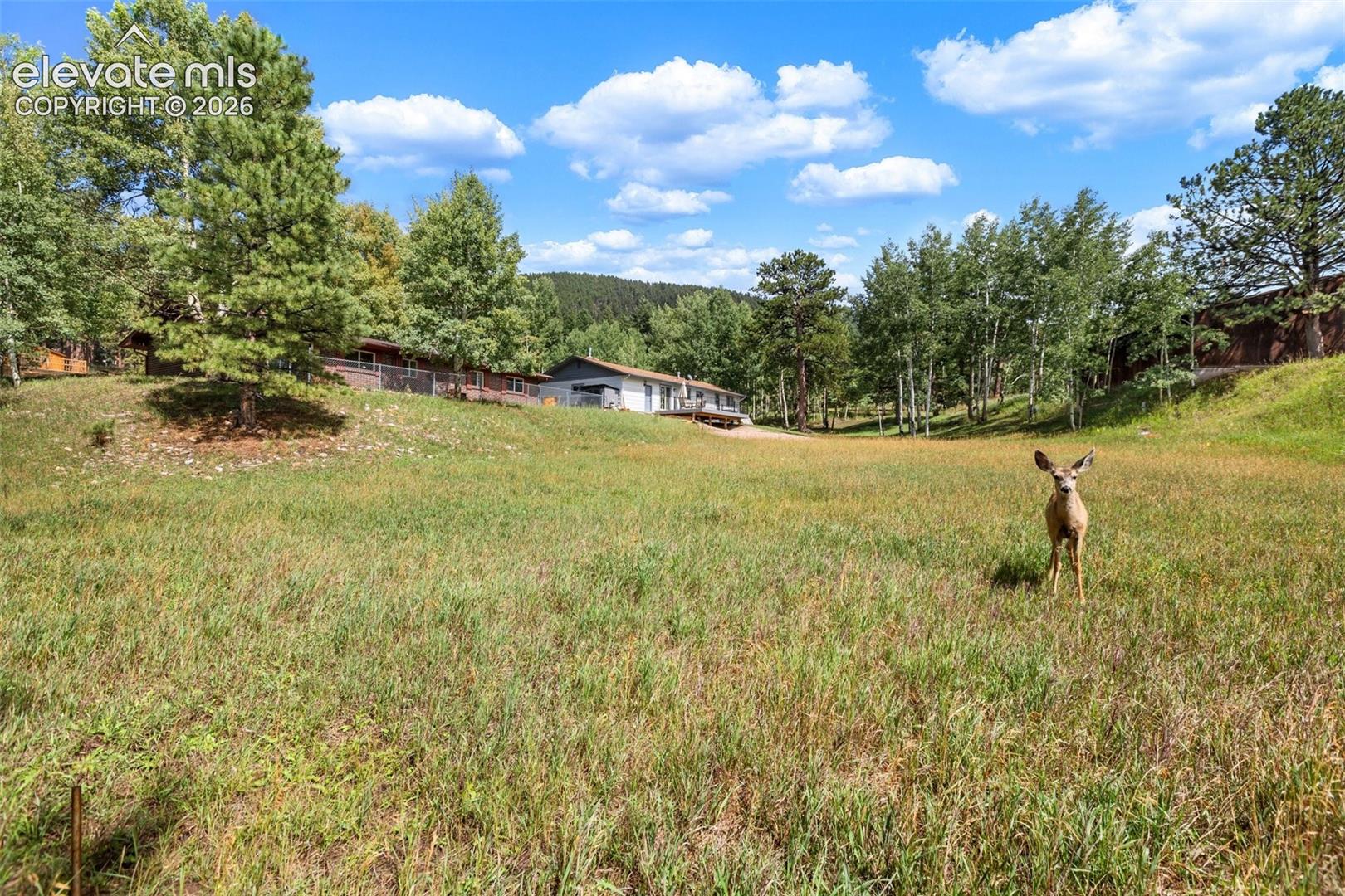 1035 Park View Road, photo 2