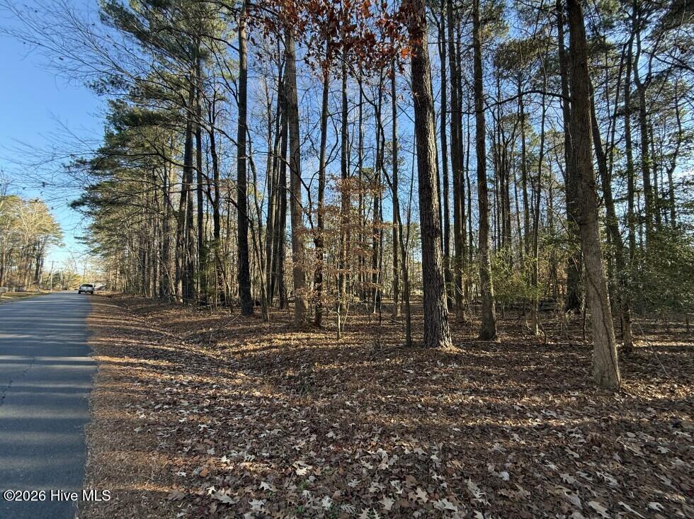 18 C 18C Comanche Trail, Hertford, NC 27944 — photo 4
