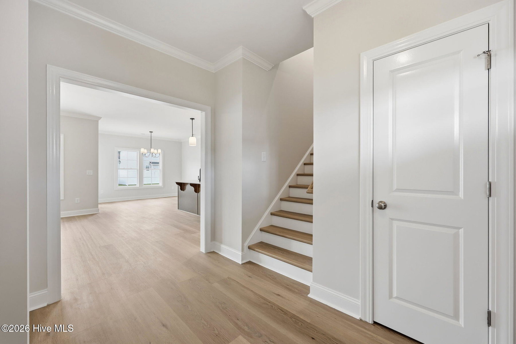 1005 Finn Court, Greenville, NC 27834 — photo 5