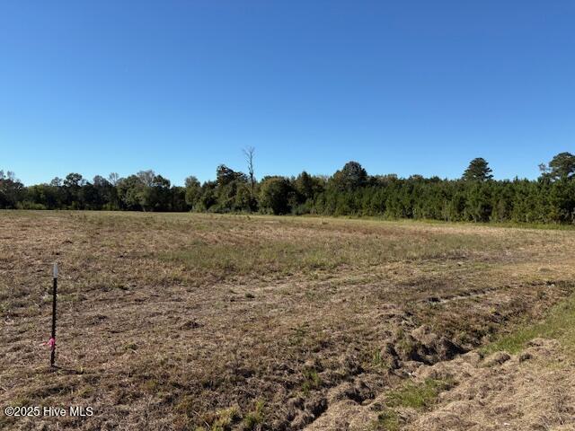 Vidalia 3 3 County Home Road, Ayden, NC 28513 — photo 2