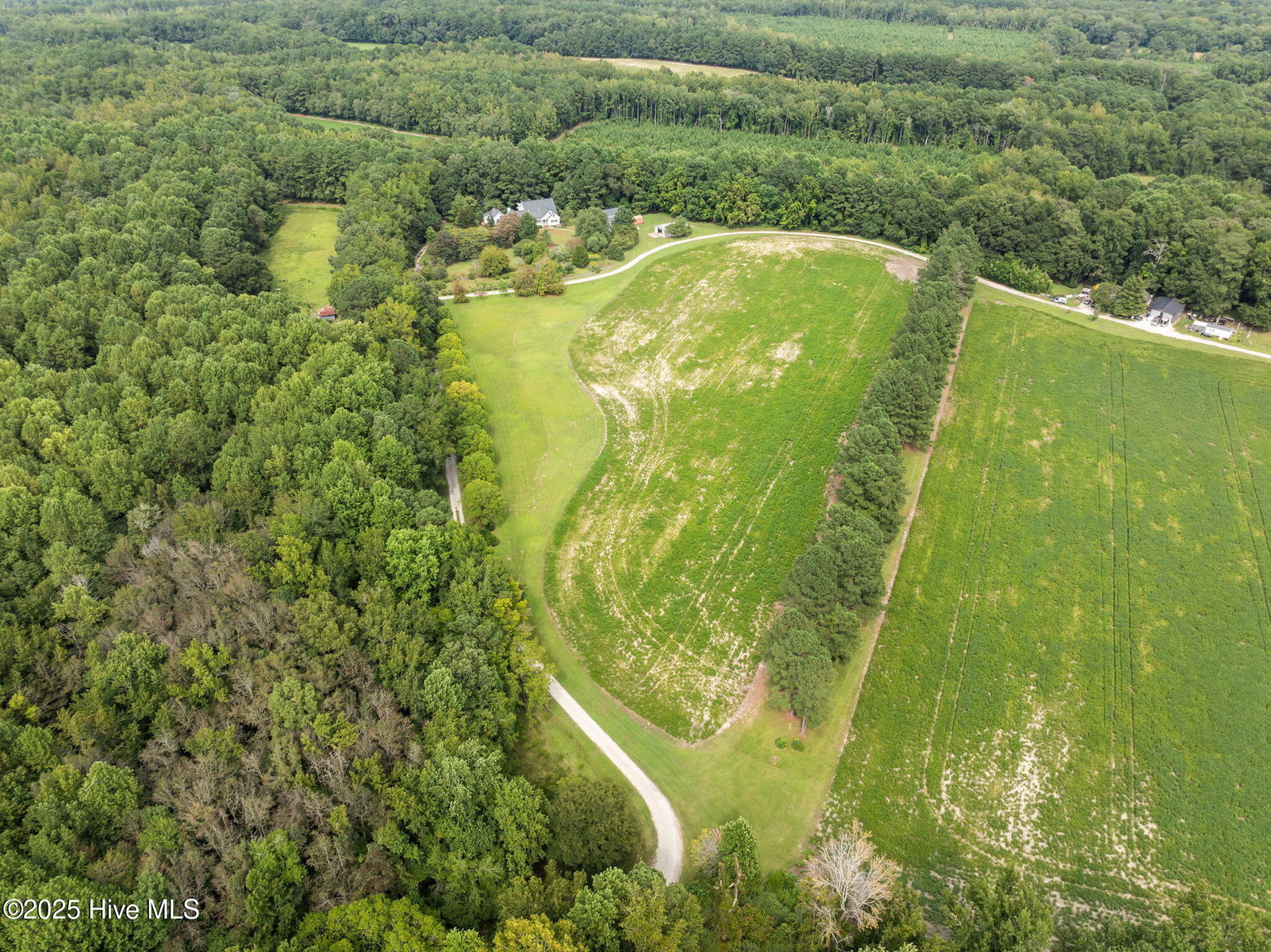7464 Nc 43 N, Macclesfield, NC 27852 — photo 3