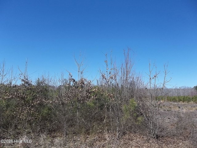 Tbd 6 Boat Ramp Road, New Hope, NC 27944