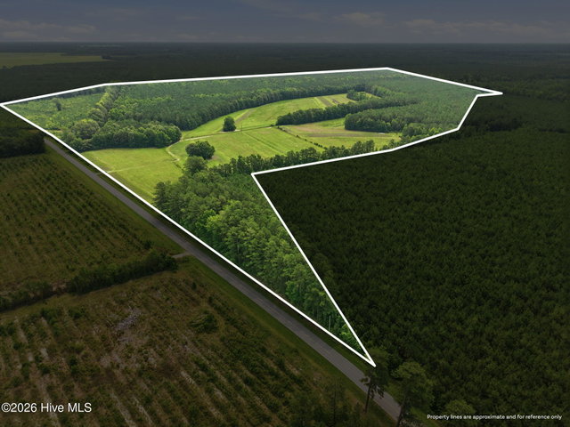 00 Gaskins Road, Grimesland, NC 27837 — photo 3
