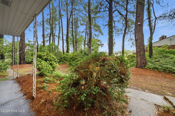 1130 N Road Street, Elizabeth City, NC 27909 — photo 33