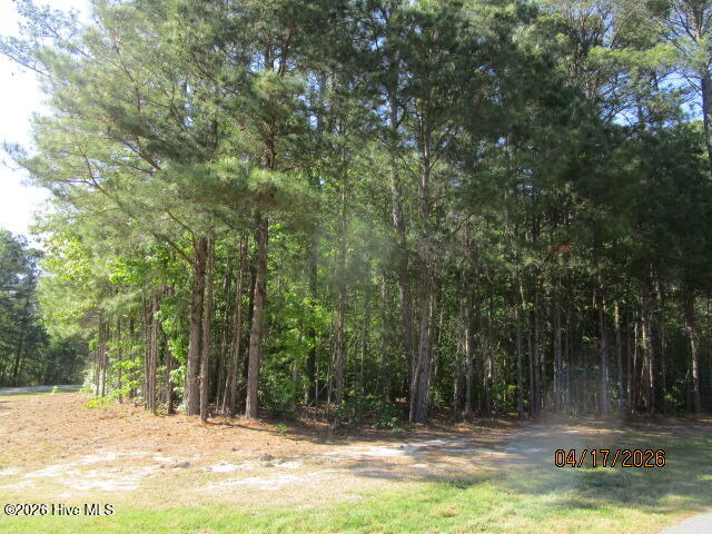 47 47 Boshers Point Drive, Hertford, NC 27944 — photo 4
