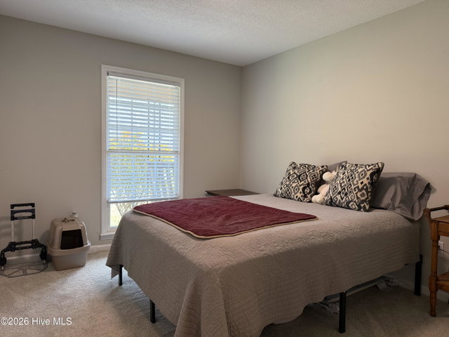 3719 Cherry Street, Bethel, NC 27812 — photo 5