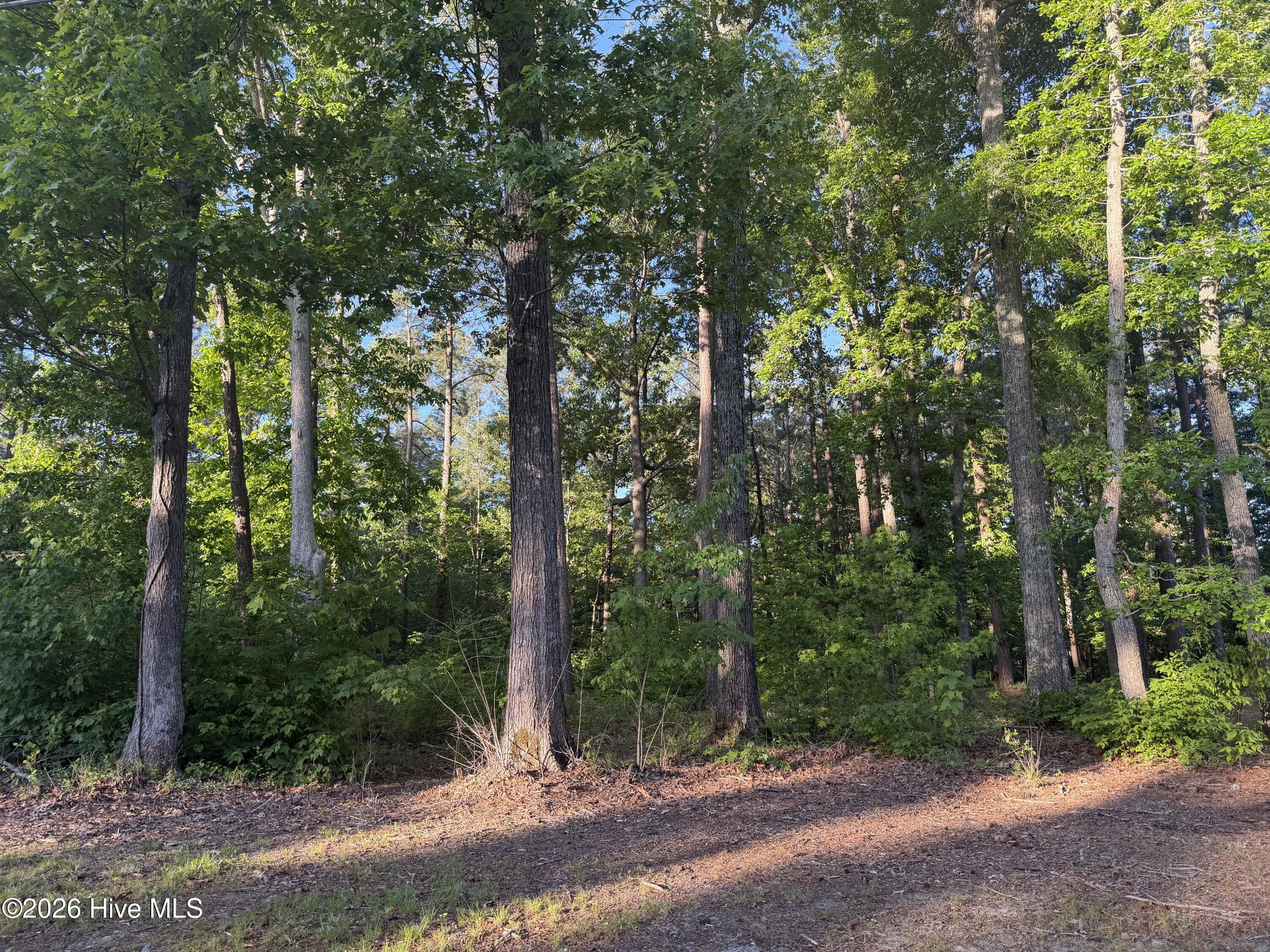 012-F 12 Holiday Island, Hertford, NC 27944 — main photo