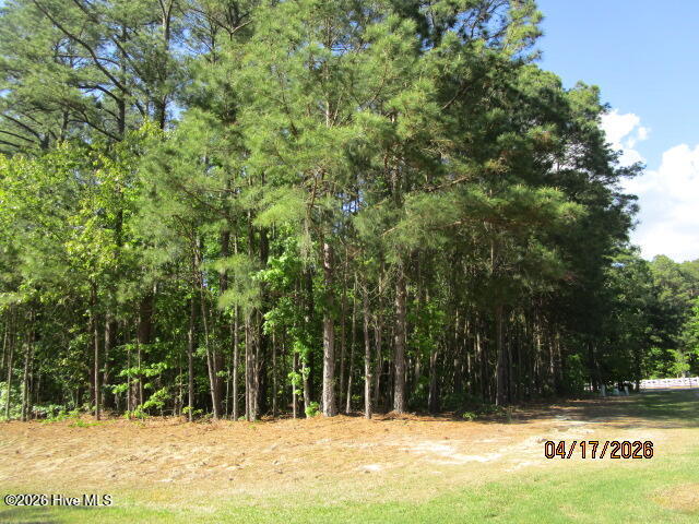47 47 Boshers Point Drive, Hertford, NC 27944 — photo 3