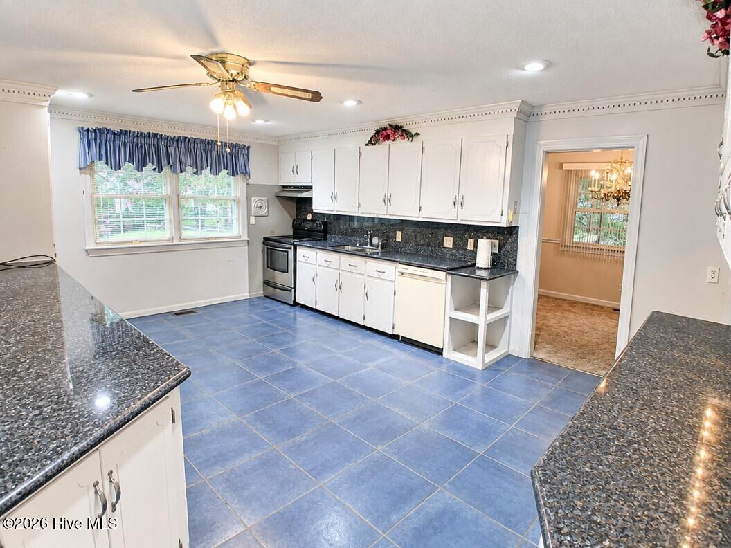 604 Eleanor Street, Greenville, NC 27858 — photo 5