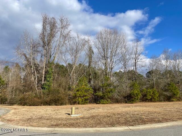 2599 Belmont Lake Drive, Rocky Mount, NC 27804 — main photo