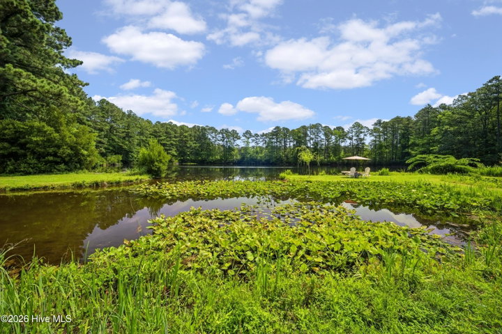 417 Hastings Lane, Elizabeth City, NC 27909 — photo 7