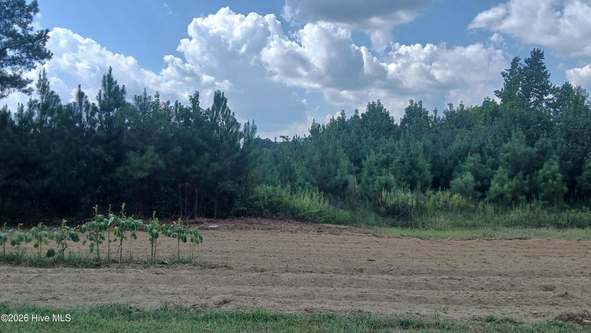 2 Taylors Gin Rd, Castalia, NC 27816 — photo 2
