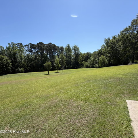 4076 Mobleys Bridge Road, Grimesland, NC 27837 — photo 61