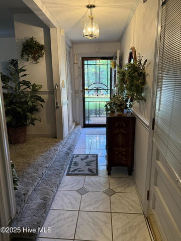 604 Eleanor Street, Greenville, NC 27858 — photo 4