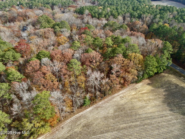 0 Williams Road, Williamston, NC 27892 — photo 7