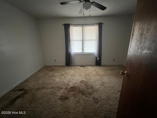 413 W Church Street, Williamston, NC 27892 — photo 5