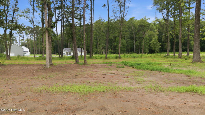 981 Rialto Lane, Ayden, NC 28513 — photo 38