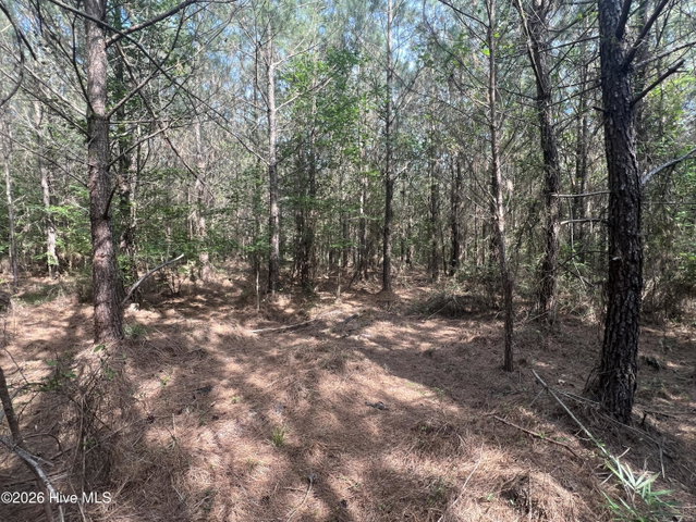 2364 Nc 102 E, Ayden, NC 28513 — photo 18