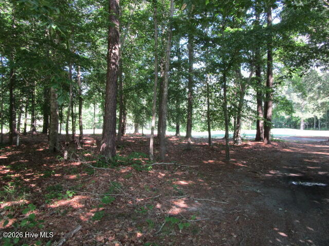 Lot 1 1 Roanoke Drive W, Hertford, NC 27944