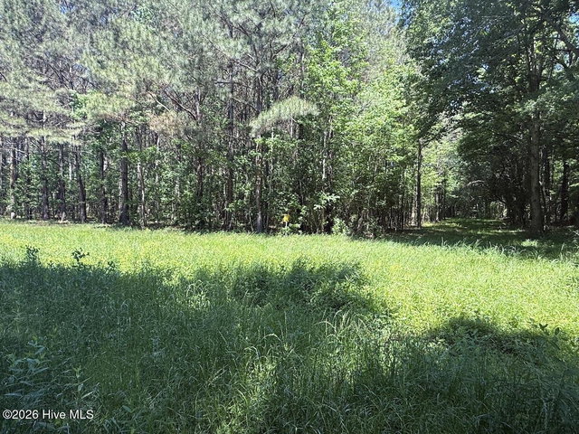 0 Kirkman Road, Robersonville, NC 27871 — photo 15