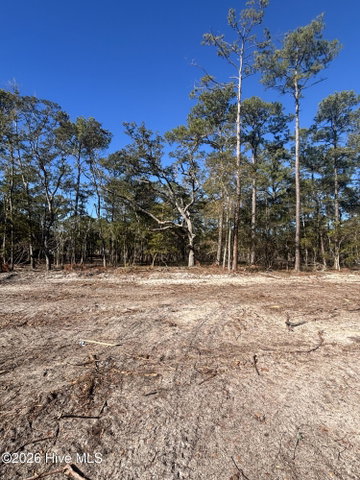 Lot 49 Peninsula Parkway image