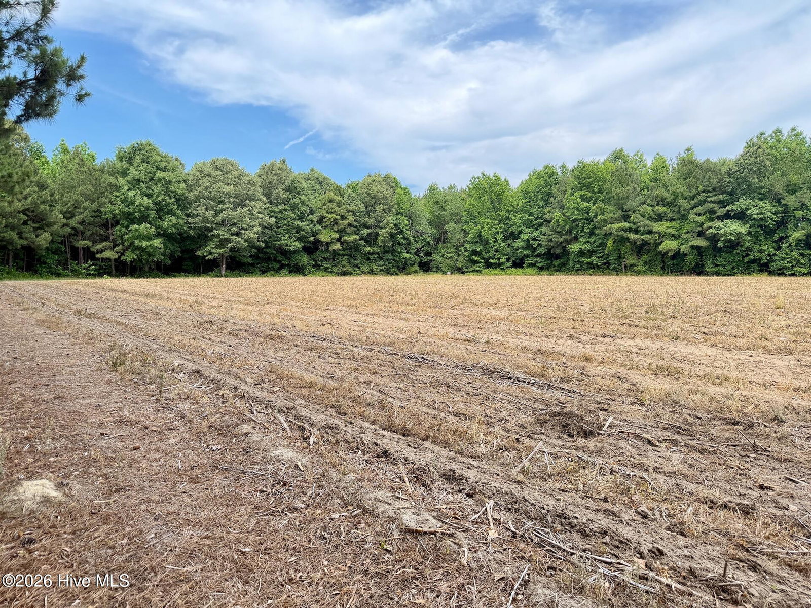 0 Off 1040d Republican Road, Windsor, NC 27983 — photo 3