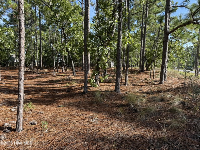585 258 Westwood Road image