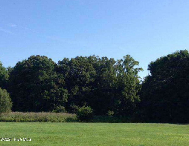 327 Acres, Hertford, NC 27944 — photo 2
