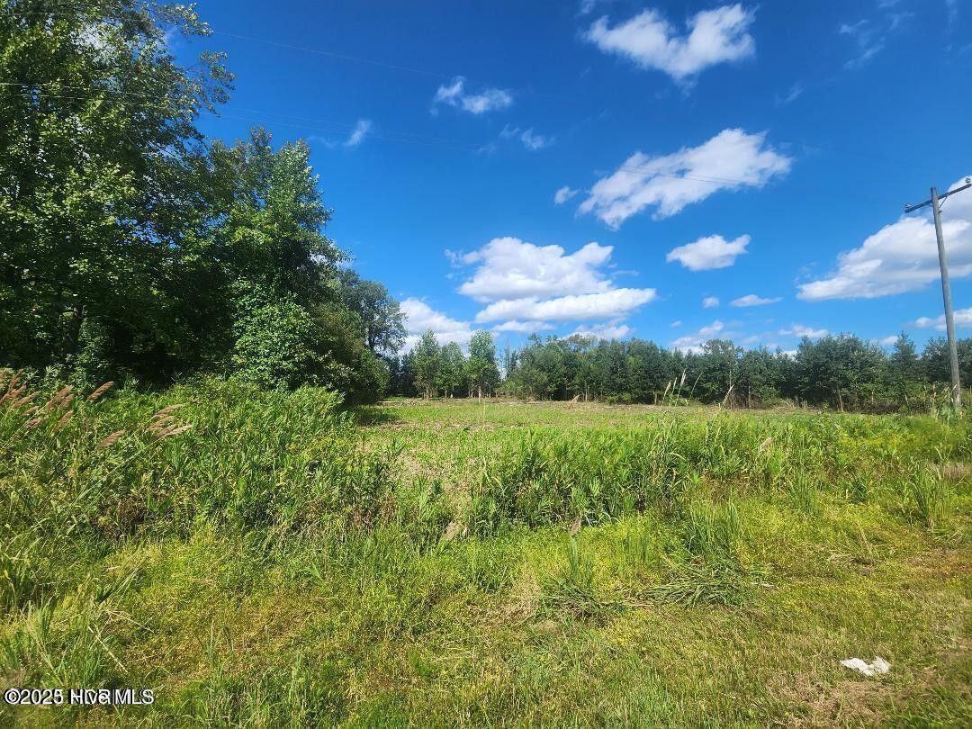 6943 1 Us 264 E, Greenville, NC 27834 — photo 3