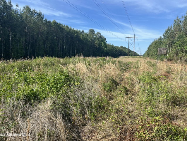 2364 Nc 102 E, Ayden, NC 28513 — photo 24
