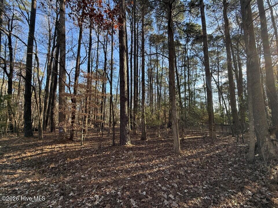 17-C 17C Comanche Trail, Hertford, NC 27944 — photo 3