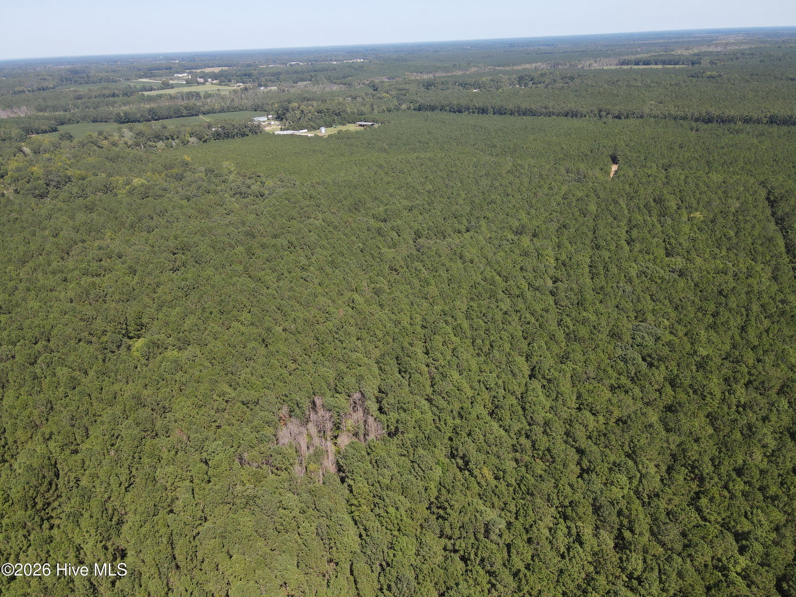 Tbd Bryantown Road, Jackson, NC 27845 — photo 5