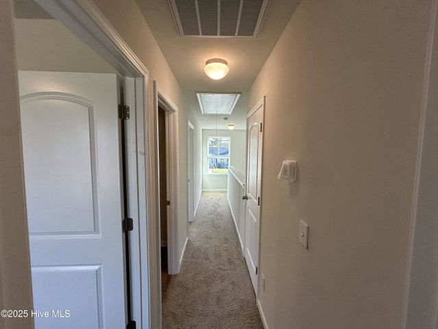 3613 Moore Drive, Bethel, NC 27812 — photo 23